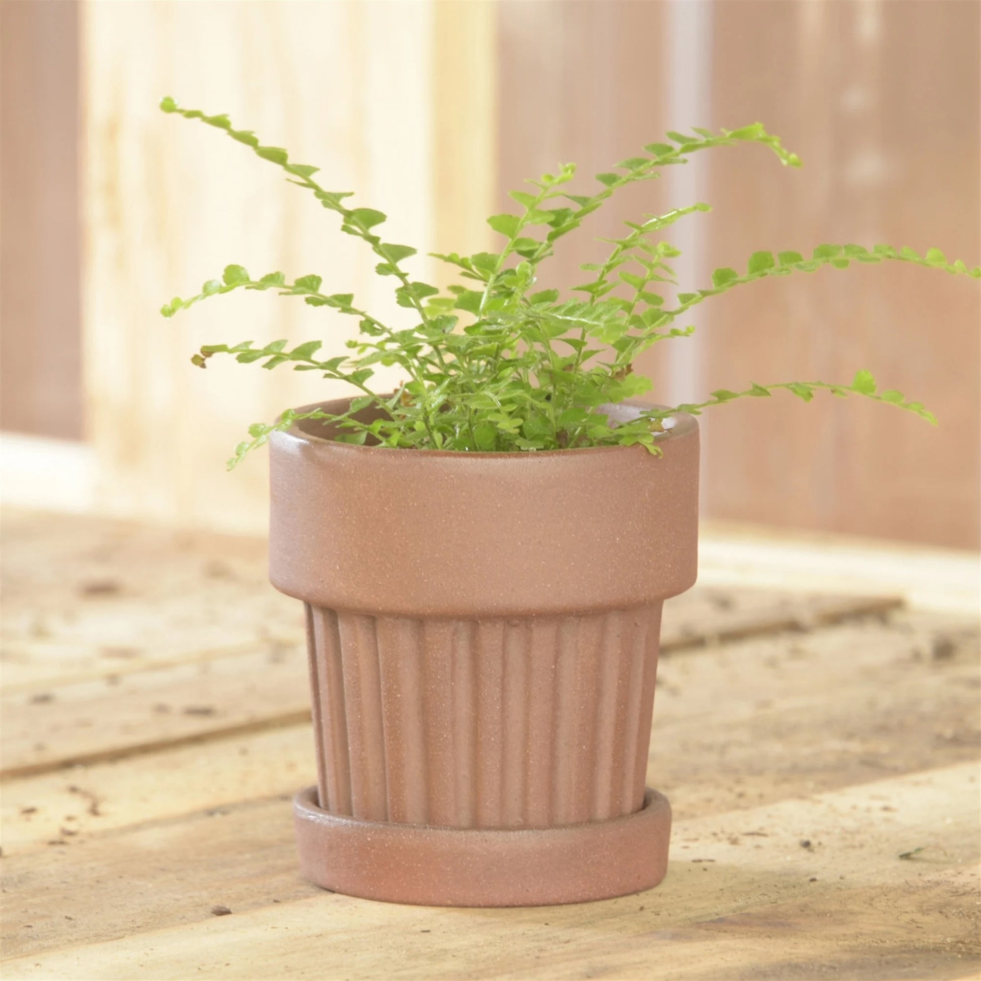 Dark Brown Terracotta "Basque" Planter Pot for Plants and Home Decor - Rustike Home