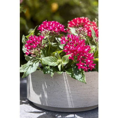 Round 13.8" Rough Grey Bowl Planter Pot for Plants and Home Decor | Style 100 - Rustike Home