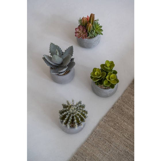 Artificial Succulent Plant 6" H in Round Cement Pot Plants and Home Decor | Style 112 - Rustike Home