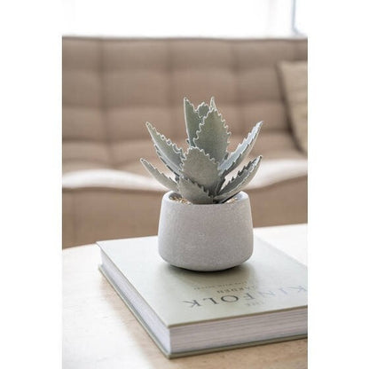 Artificial Plant 7.61" H in Round Cement Pot Plants and Home Decor | Style 112 - Rustike Home