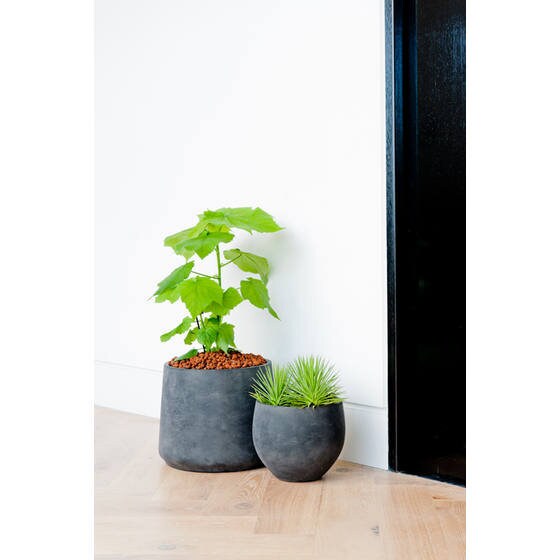 Round Orb Black Rough Planter 5.91" H Pot for Plants and Home Decor | Style 121 - Rustike Home