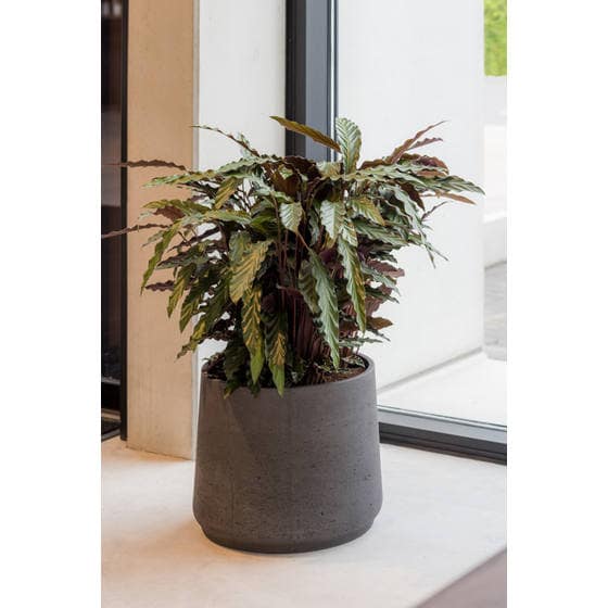 Round Rough Brown Planter Pot for Plants and Home Decor | Style 105 - Rustike Home