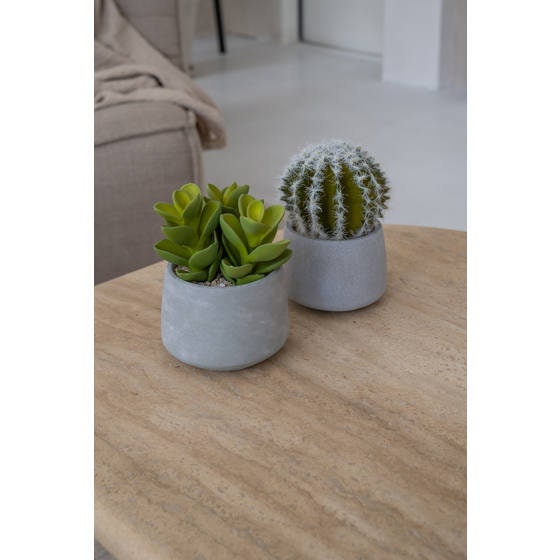 Artificial Succulent Plant 6" H in Round Cement Pot Plants and Home Decor | Style 112 - Rustike Home