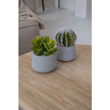 Artificial Succulent Plant 6" H in Round Cement Pot Plants and Home Decor | Style 112 - Rustike Home