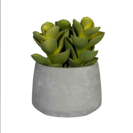 Artificial Succulent Plant 6" H in Round Cement Pot Plants and Home Decor | Style 112 - Rustike Home