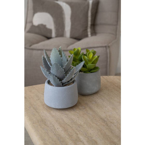 Artificial Plant 7.61" H in Round Cement Pot Plants and Home Decor | Style 112 - Rustike Home