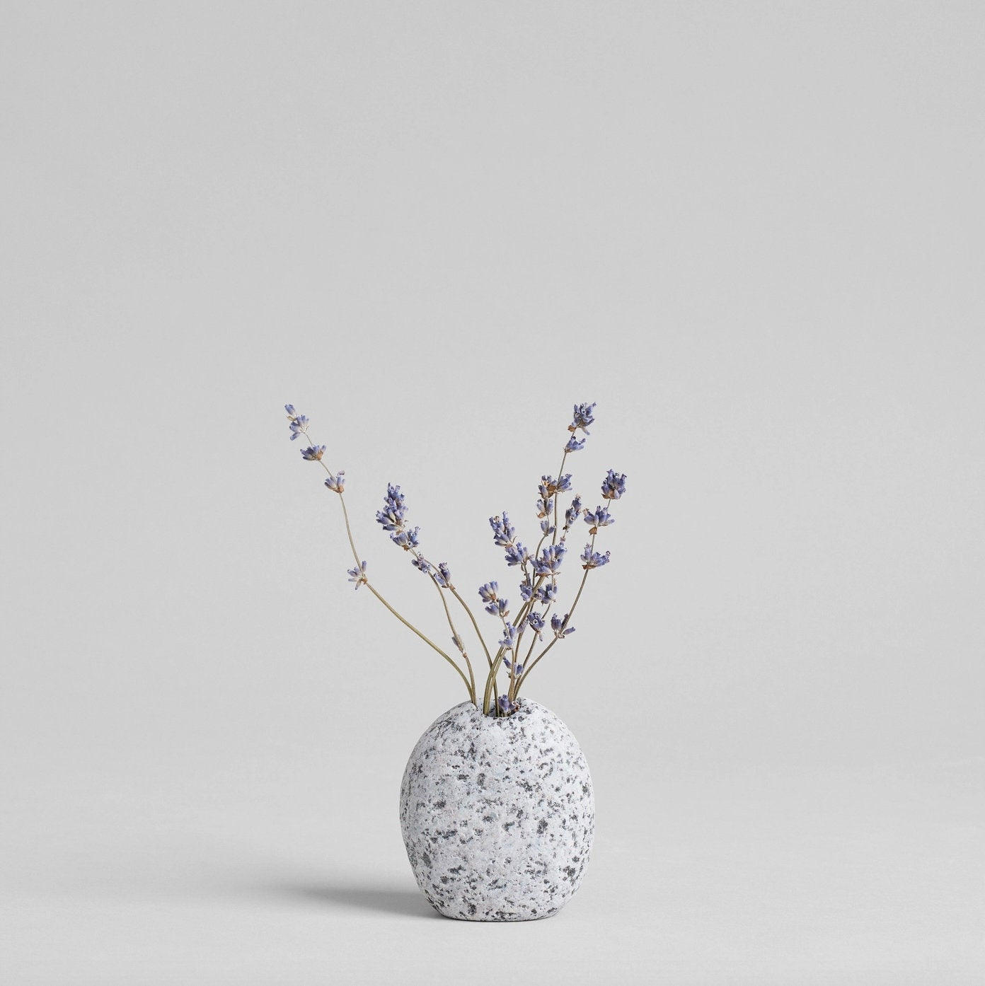 Dried Lavender | Decorative Dried Grass and Plants - Rustike Home