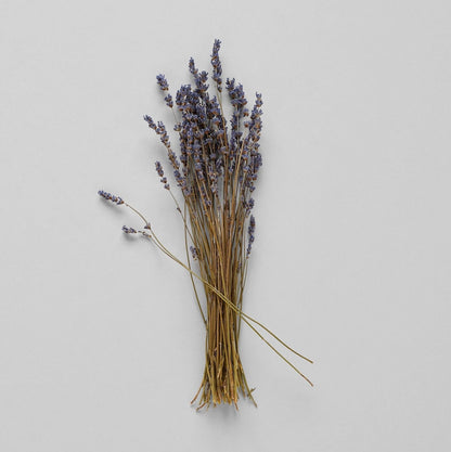 Dried Lavender | Decorative Dried Grass and Plants - Rustike Home