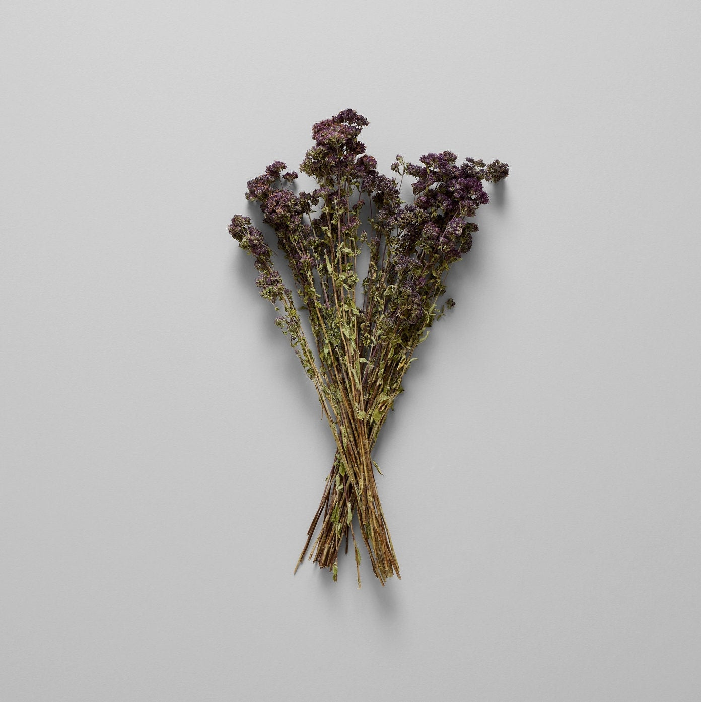 Dried Purple Blooming Oregano | Decorative Dried Grass and Plants - Rustike Home