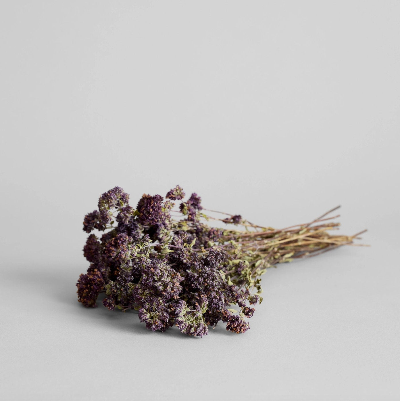 Dried Purple Blooming Oregano | Decorative Dried Grass and Plants - Rustike Home