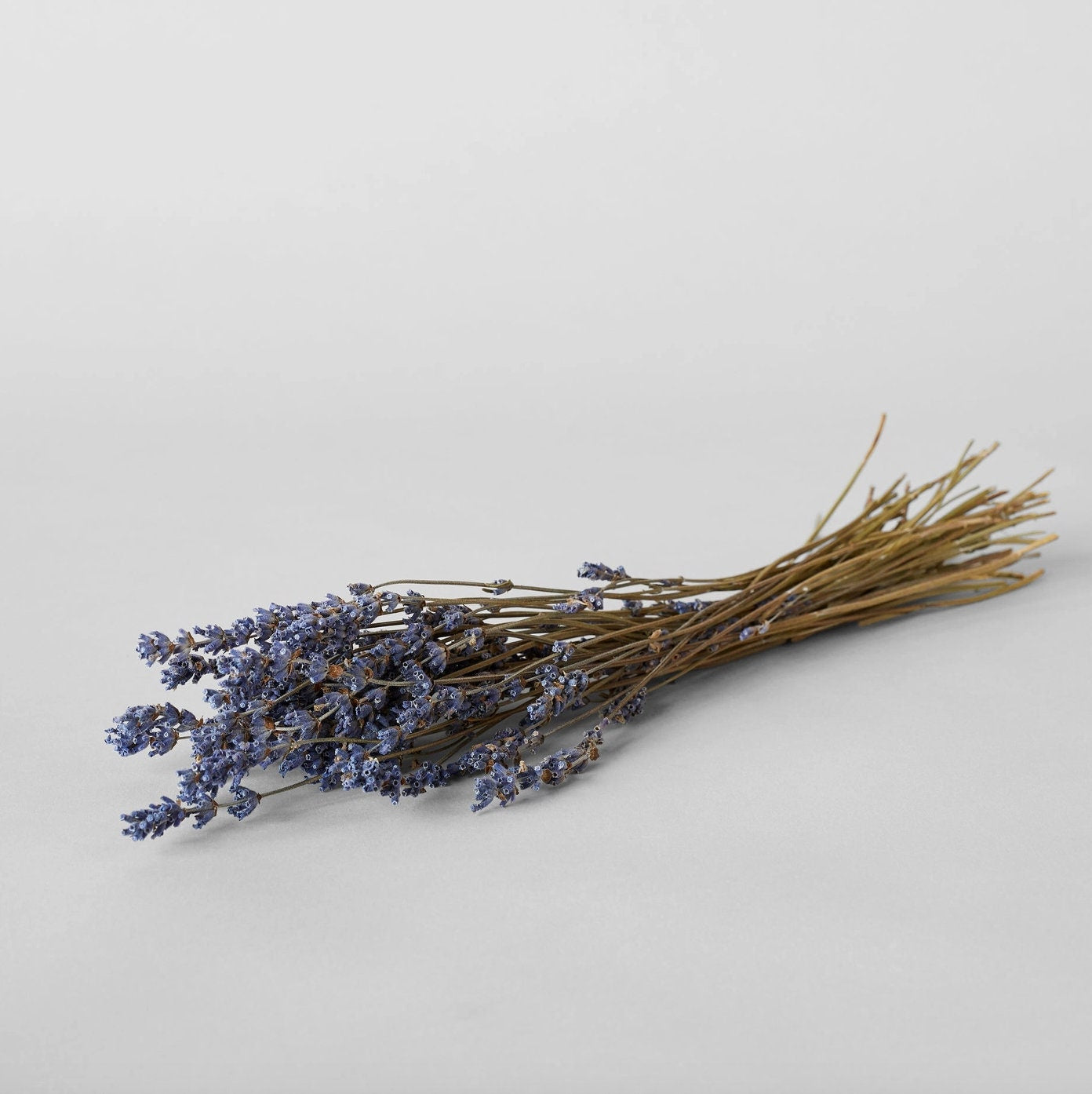 Dried Lavender | Decorative Dried Grass and Plants - Rustike Home