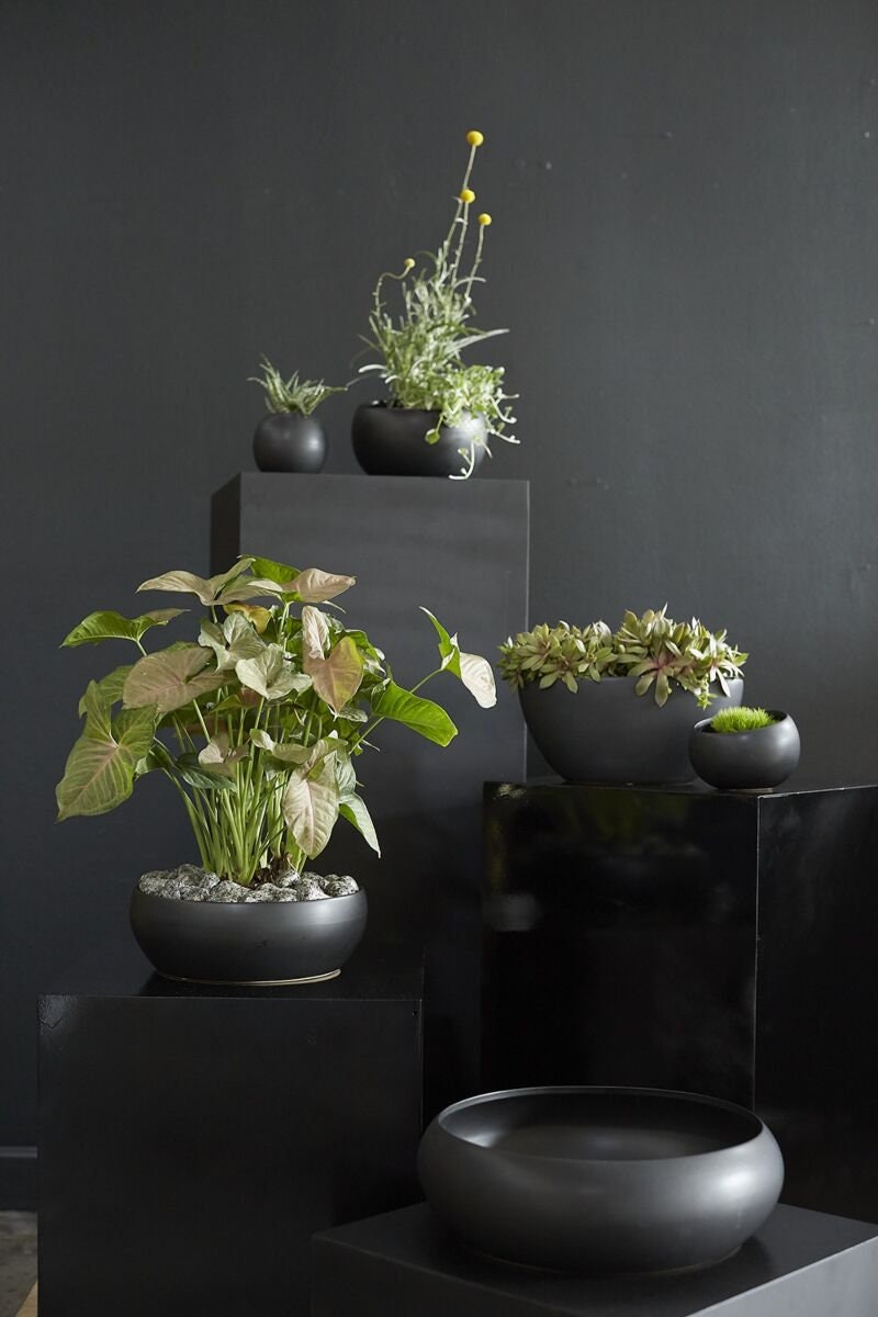 Round Black or White Low Bowl Planter Pot for Plants and Home Decor | Style 157 - Rustike Home