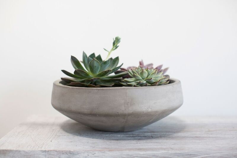 Round Grey Concrete Bowl Planter Pot for Plants and Home Decor | Style 135 - Rustike Home