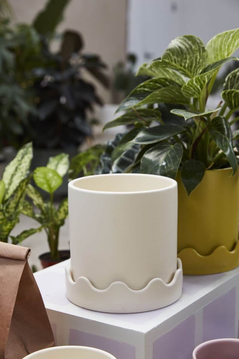 Round White Yellow "Scalloped" Planter Pot with Saucer for Plants and Home Decor - Rustike Home