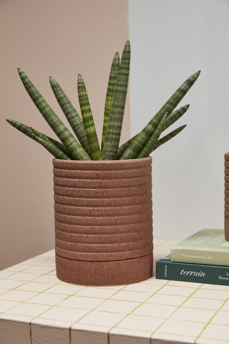 Brown Terracotta "Ribbed" Planter Pot with Saucer for Plants and Home Decor - Rustike Home