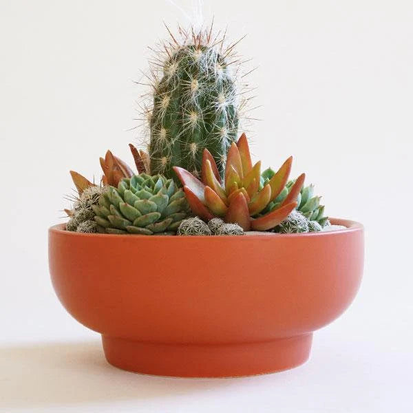 Round Terracotta "Mandi" Orange Pedestal Bowl Planter Pot for Plants and Home Decor - Rustike Home